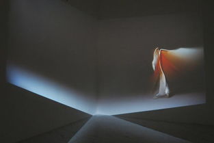 “后生命” 上海媒體藝術(shù)展，數(shù)字時(shí)代的美學(xué)探索