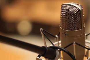 2019深圳文化傳媒公司注冊指南 聚焦文化藝術(shù)交流策劃